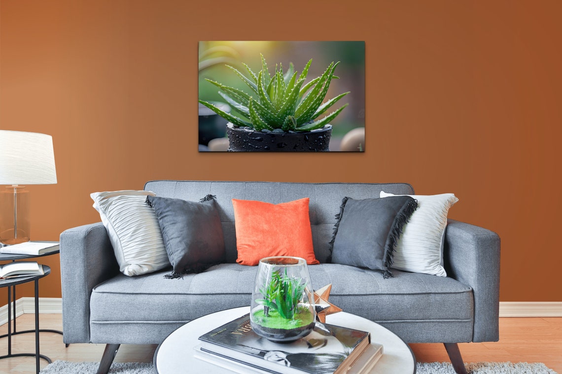 Potted Aloe Vera Succulent Black Pot Fresh Green Botanical Wall Art - Image 3