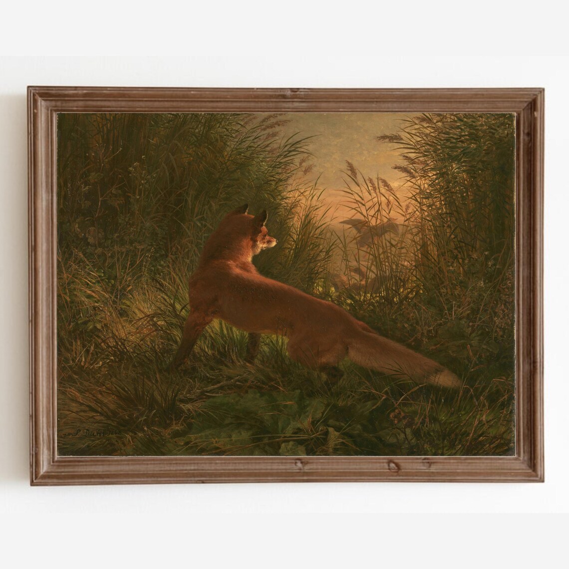 Fox Vintage Animal Art Print, Rustic Wall Decor