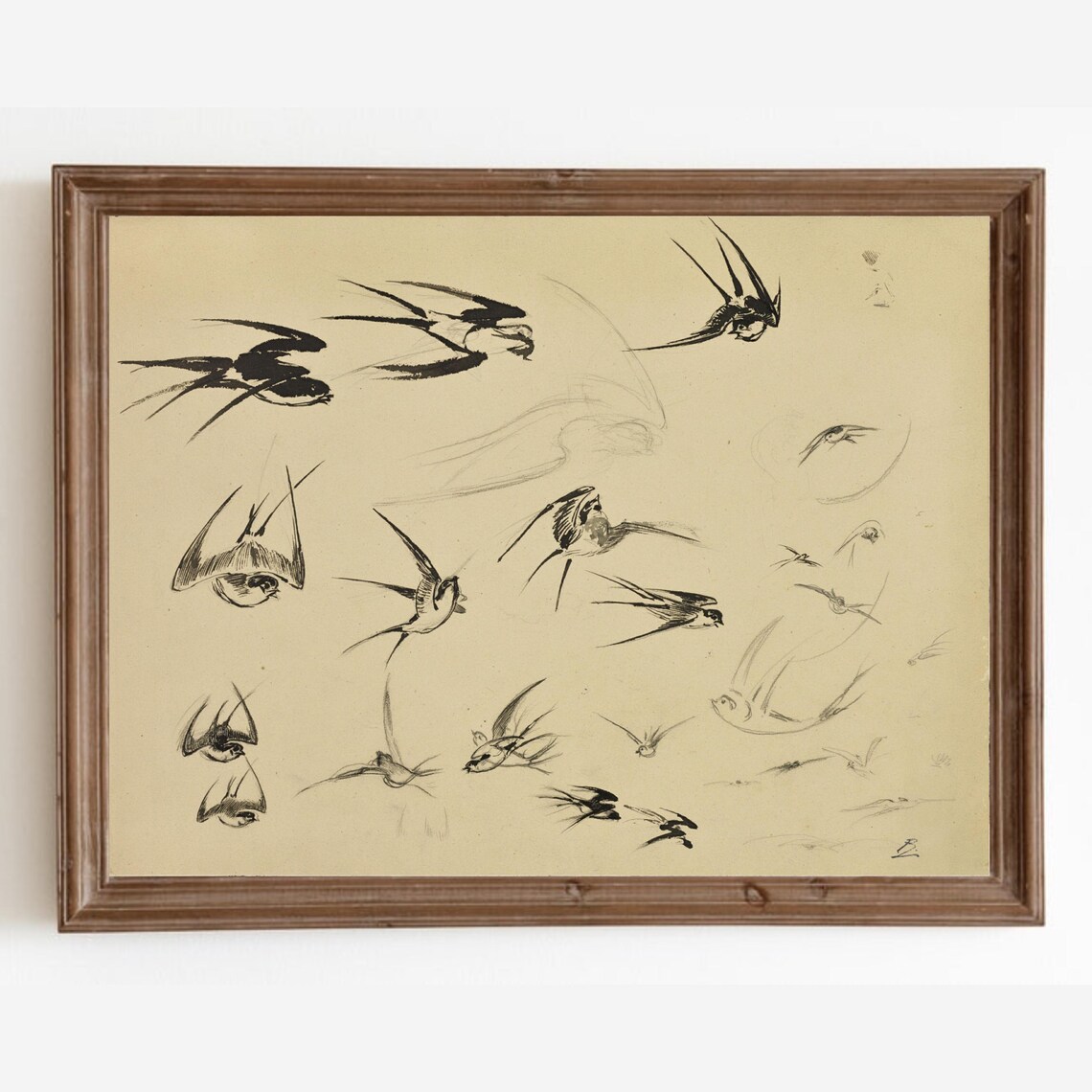 Swallow Bird Sketch, Vintage Farmhouse Art Print