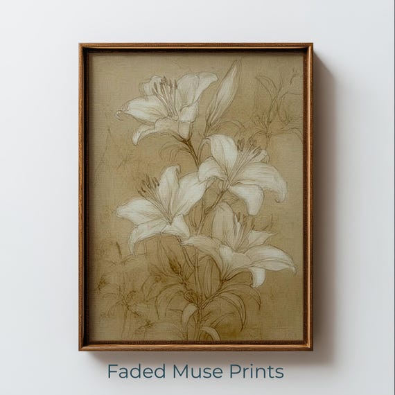Elegant White Lily Botanical Drawing Vintage Cottagecore Wall Art Digital Download 2285
