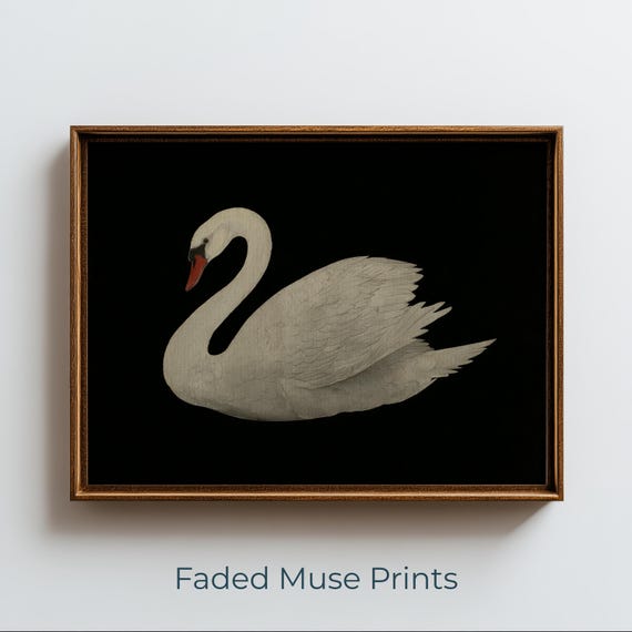 Moody Vintage Swan Watercolor Minimalist Elegant Wall Art Digital Download 1617