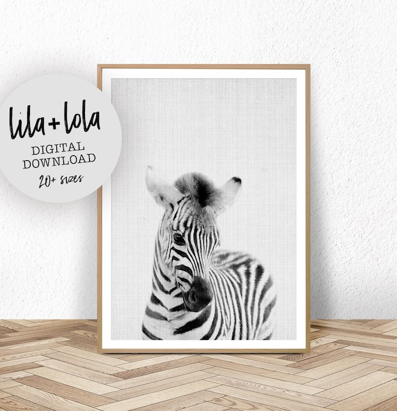 Zebra Nursery Print, Baby Animal Safari Decor