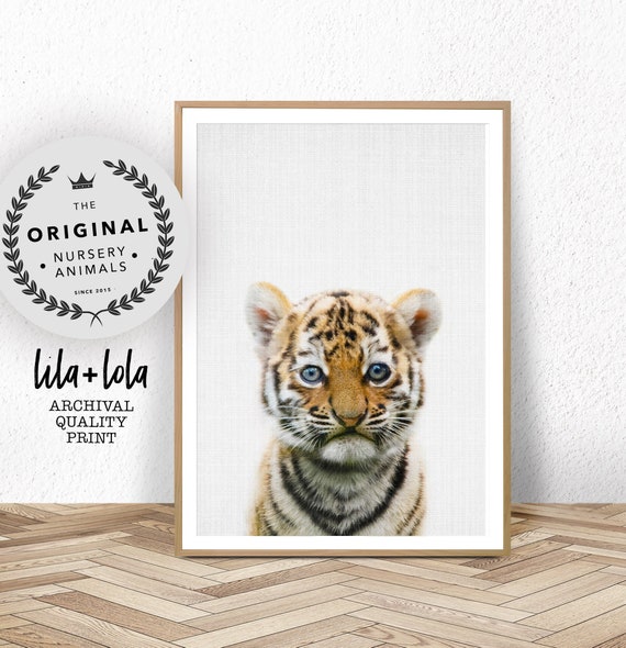 Baby Tiger Print Safari Nursery Wall Art