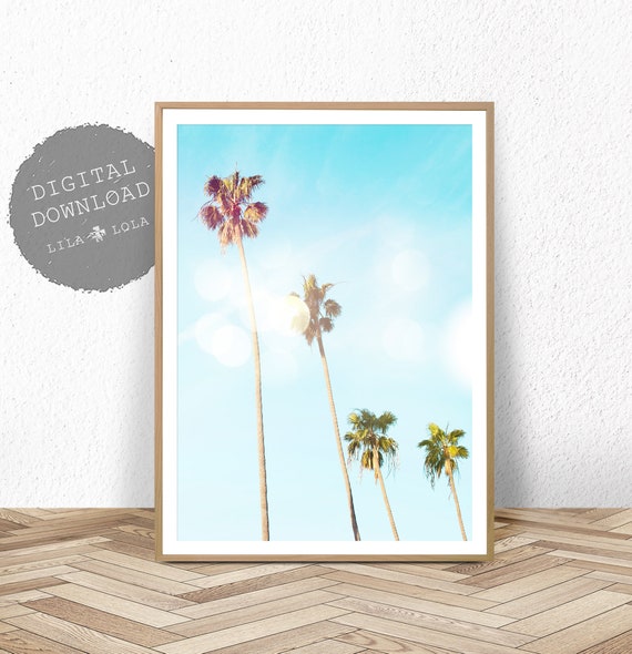 Coastal Palm Tree Photography Art Print