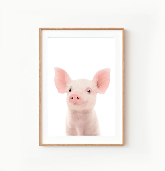 Baby Piglet Pink Pig Nursery Decor Cute Animal Photography Art Print