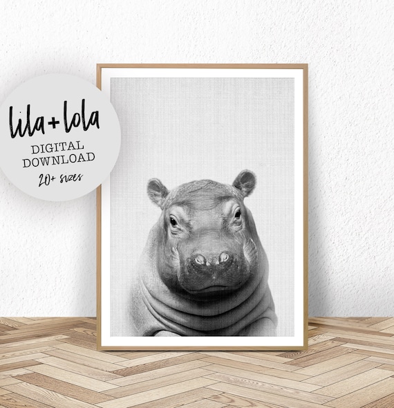 Hippo Nursery Print, Baby Animal Safari Decor