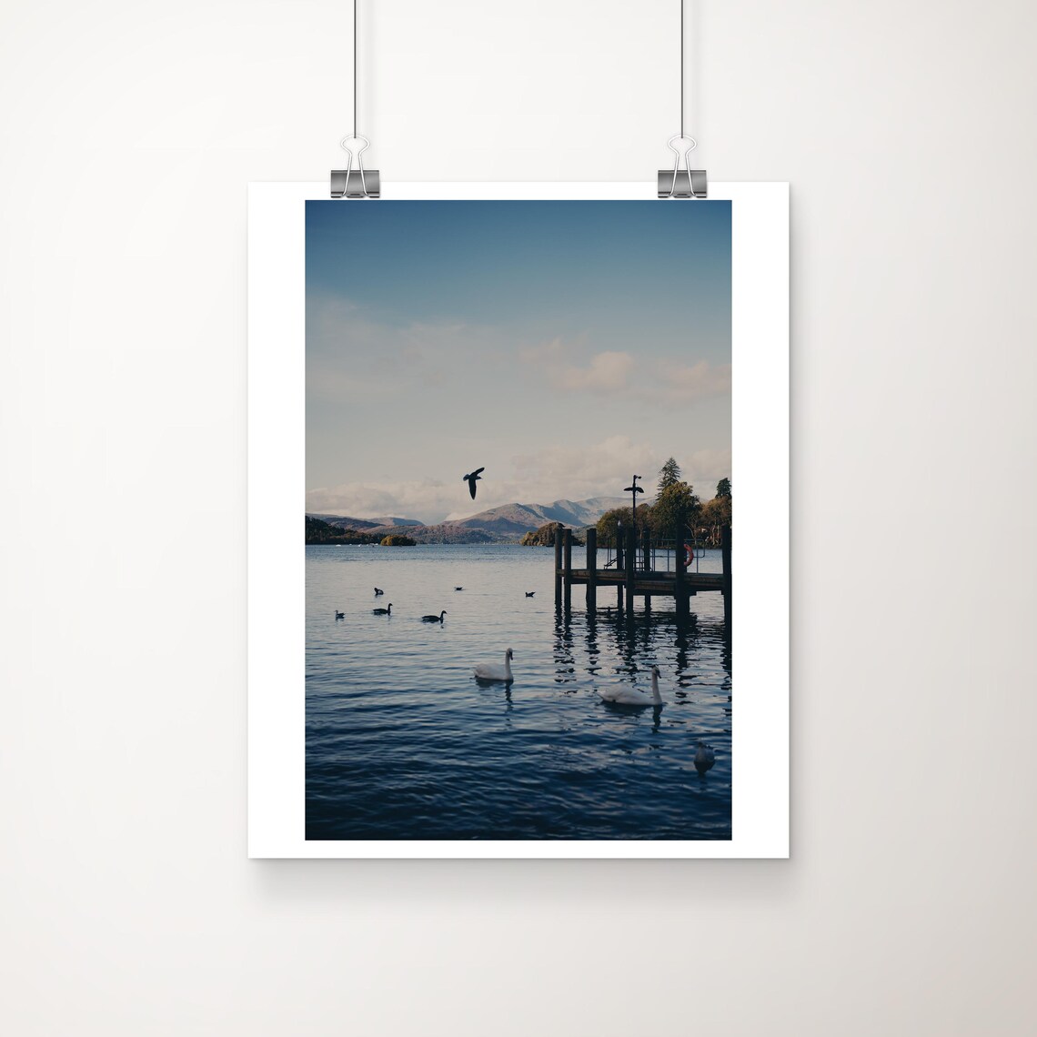 Lake Windermere Swan Photography Lake District Pier Nature Wall Art