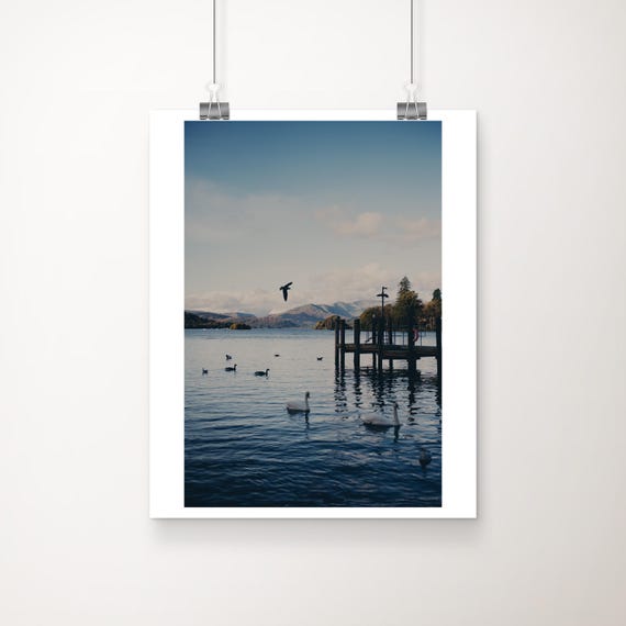 Lake Windermere Print District Swans Ducks