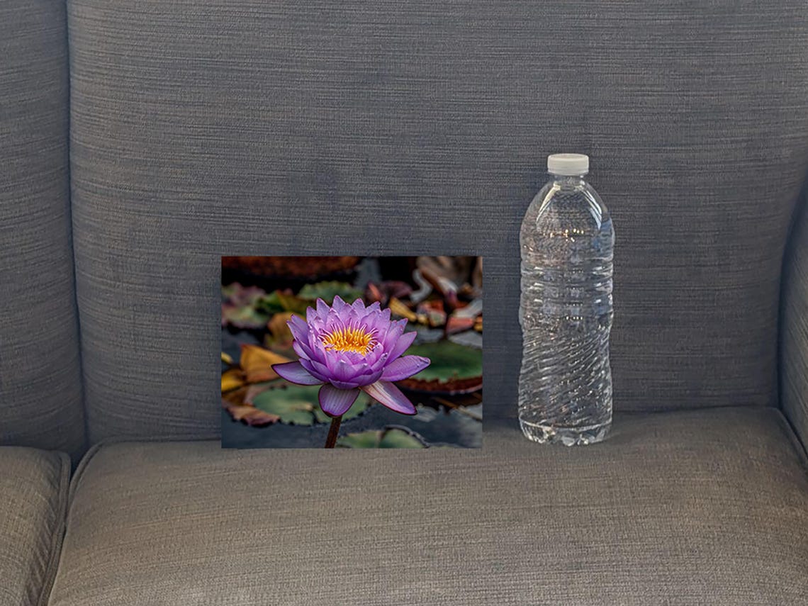 Purple Water Lily Flower Botanical Photography Small Format Art Poster