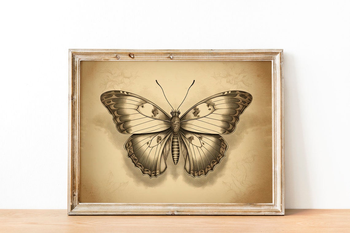 Vintage Butterfly Engraving Sepia Scientific Nature Art Print - Image 3