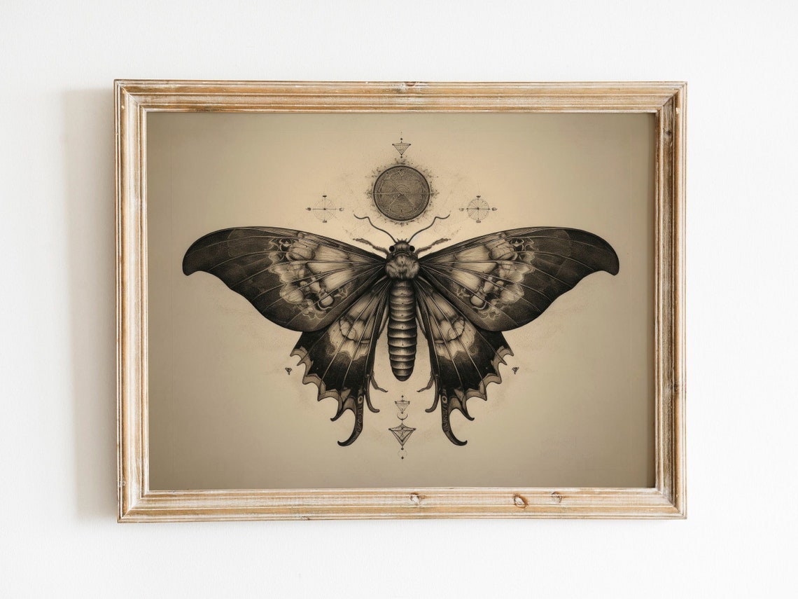 Dark Moth Botanical Illustration Vintage Entomology Gothic Art Poster