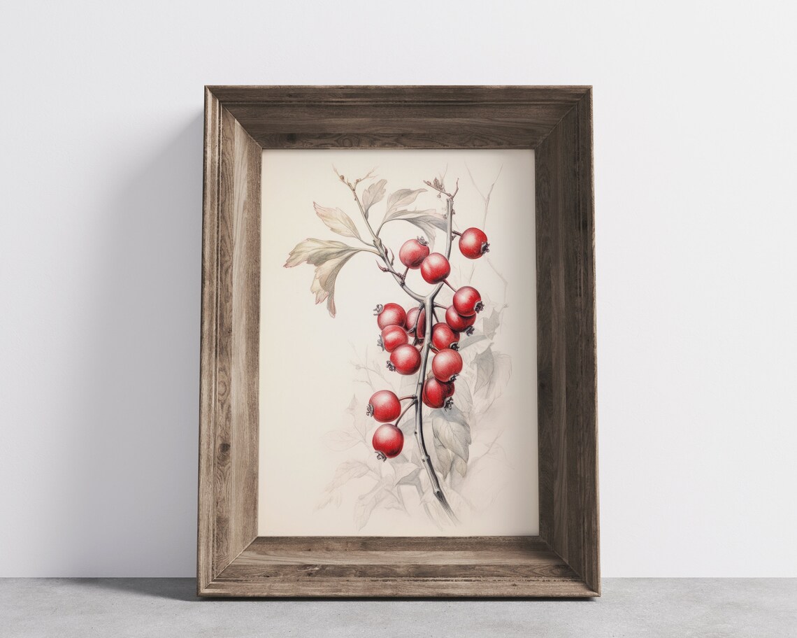 Vintage Cranberry Branch Botanical Illustration Farmhouse Art Print - Image 3