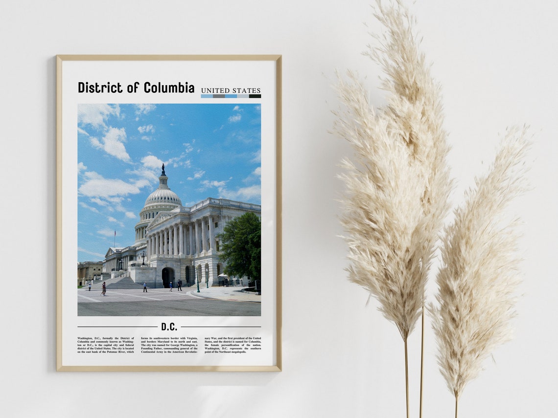 District Of Columbia Poster District Of Columbia Print District Of Columbia Wall Art Minimal Travel Print Oil Painting Poster - Image 3