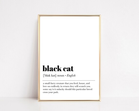 Black Cat Funny Definition Poster For Cat Lovers And Halloween