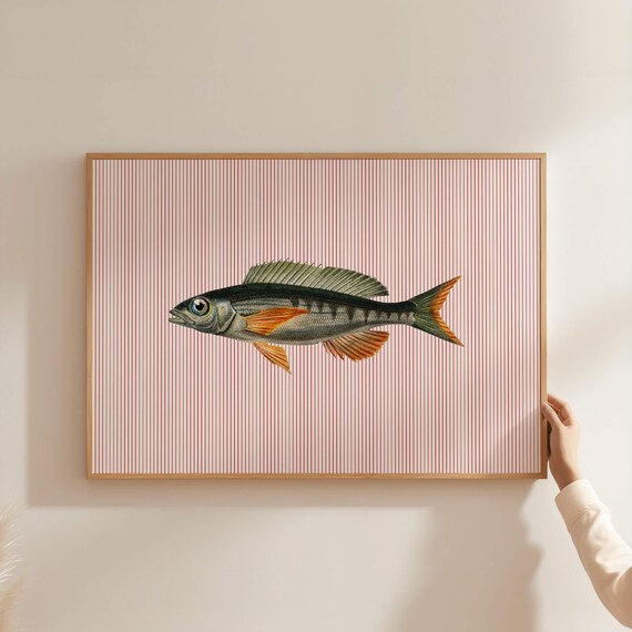 Sardines Wall Print Trout Fish Kitchen Art Trendy Seafood Fisherman Dining Room Decor Striped