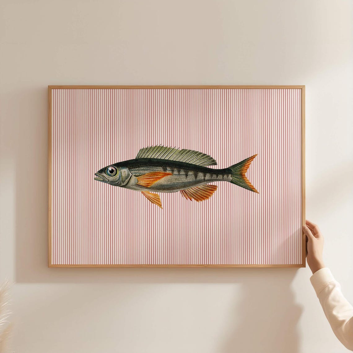 Vintage Orange Finned Fish on Red Pinstripe Kitchen Decor Poster