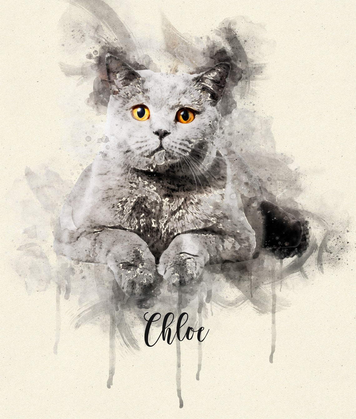 Grey British Shorthair Cat Watercolour Portrait Named Chloe Poster