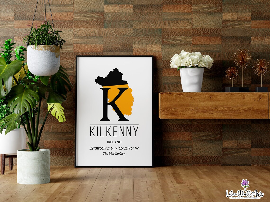 Kilkenny Ireland Map Poster GPS Coordinates The Marble City Art - Image 3