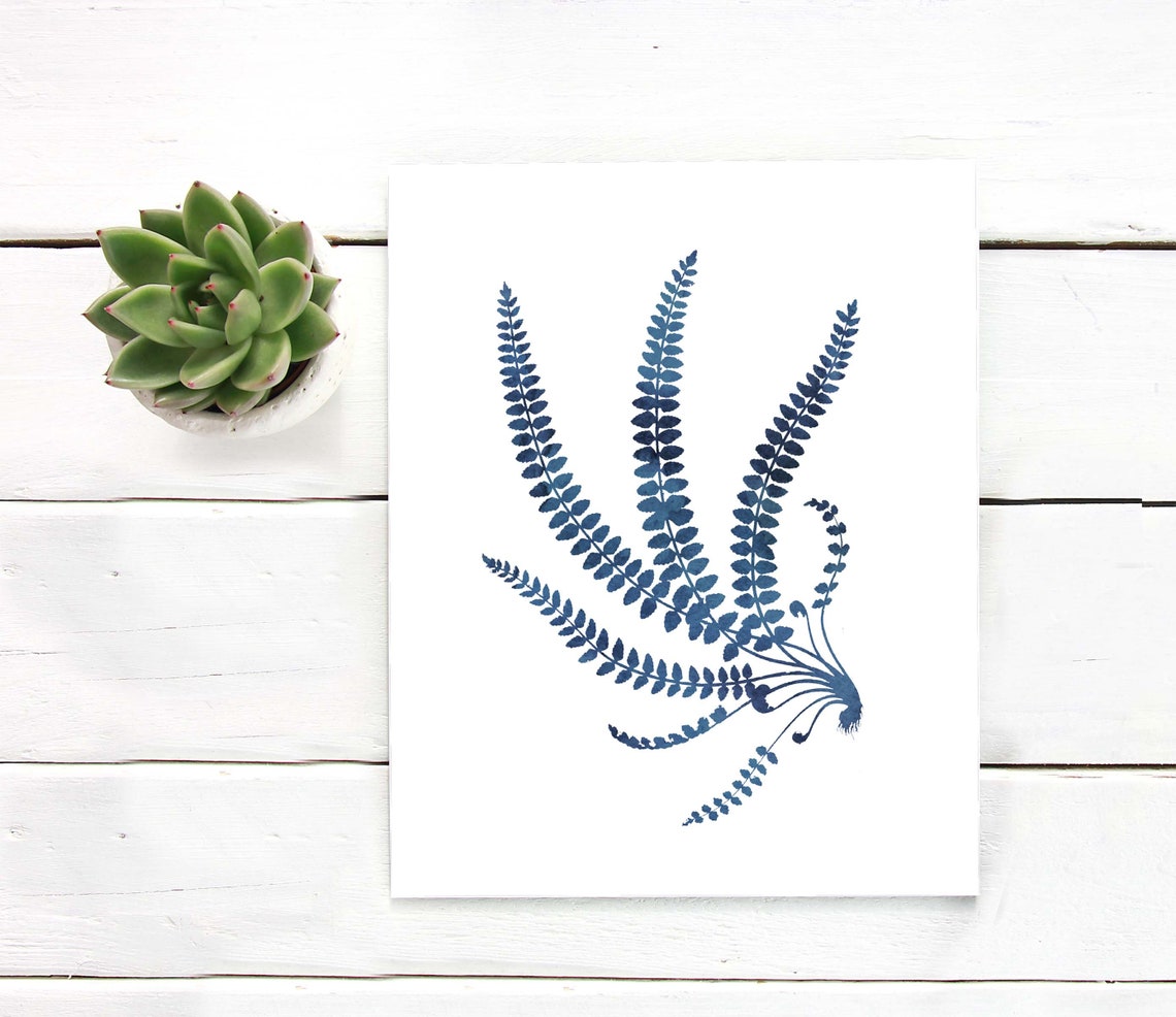 Indigo Blue Fern Branching Stems Watercolor Botanical Art Print