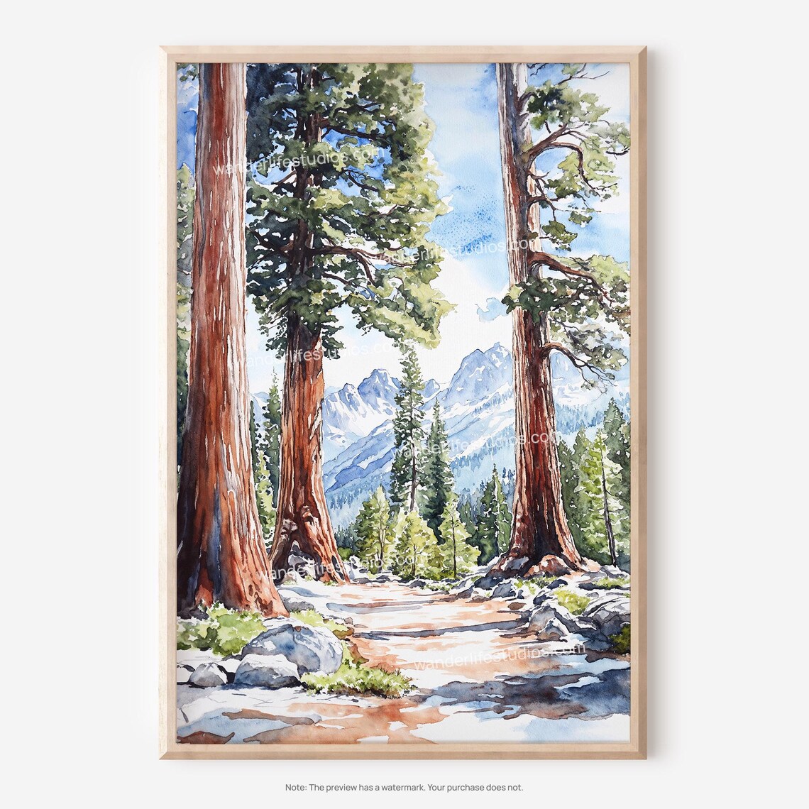 Sequoia National Park Giant Trees Watercolor Landscape Poster