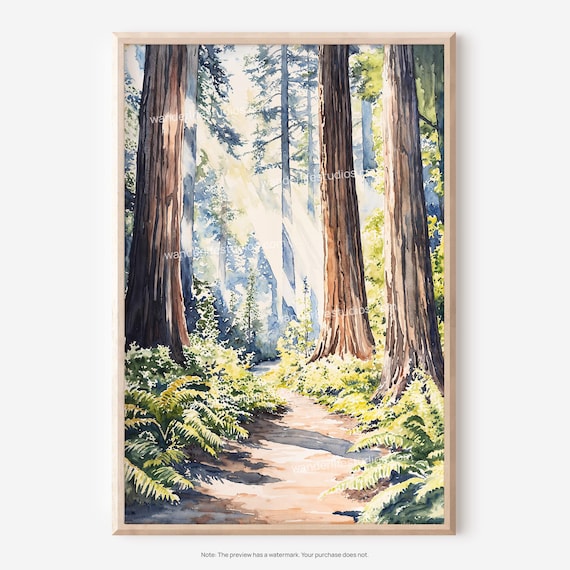 Redwood National Park Forest Sunlight Watercolor Nature Poster