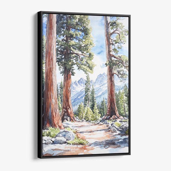 Sequoia National Park Giant Redwood Trees Watercolor Mountain Poster