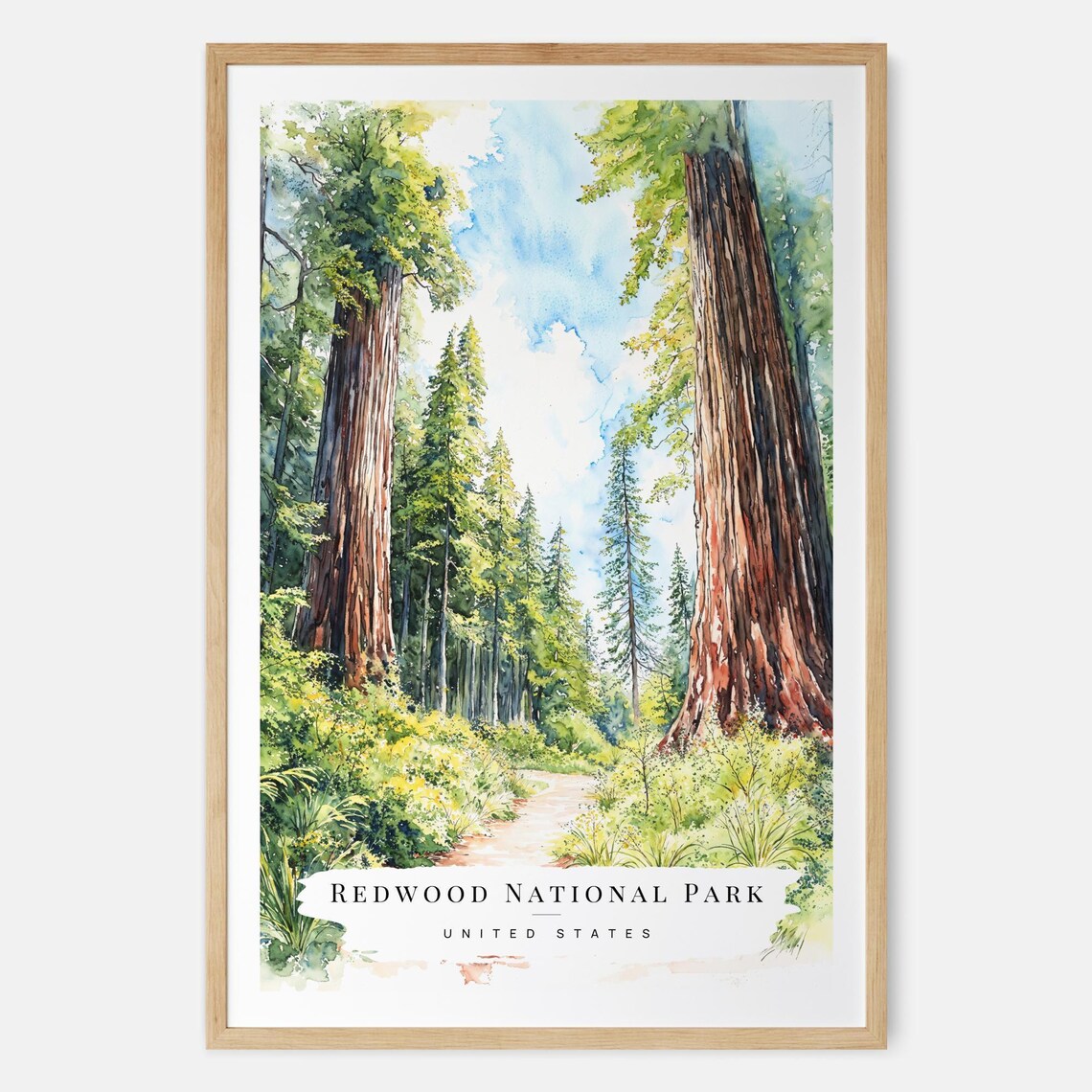 Redwood National Park Giant Trees Watercolor Travel Art Poster