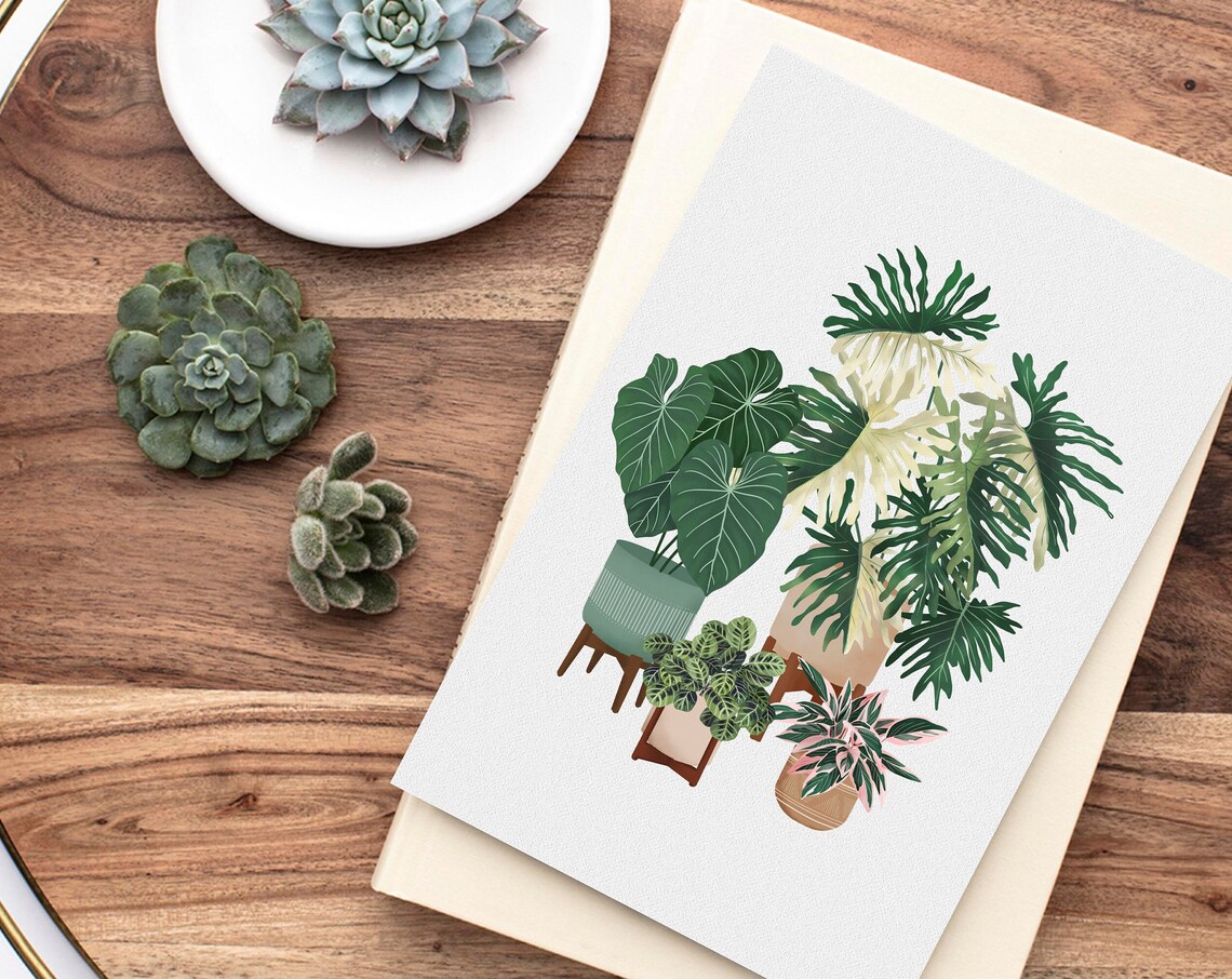 Tropical Houseplant Collection On Wooden Stools Botanical Art Print