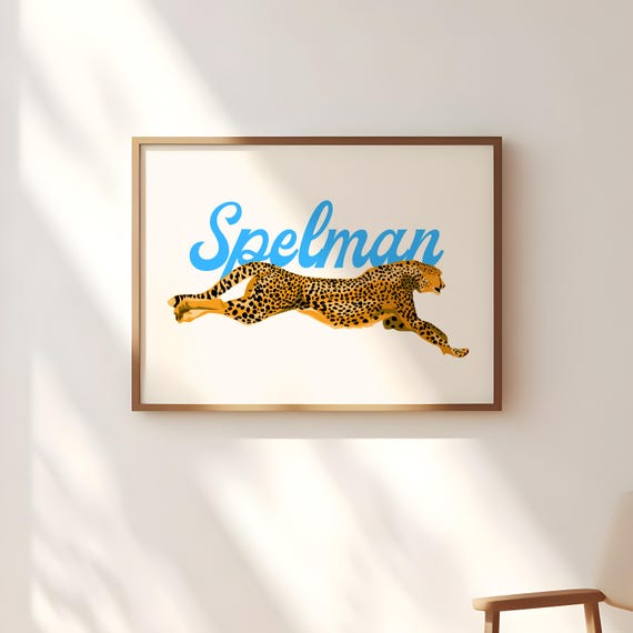 Spelman College Hbcu Modern Deco Mascot Wall Art Poster Gift For Alumni
