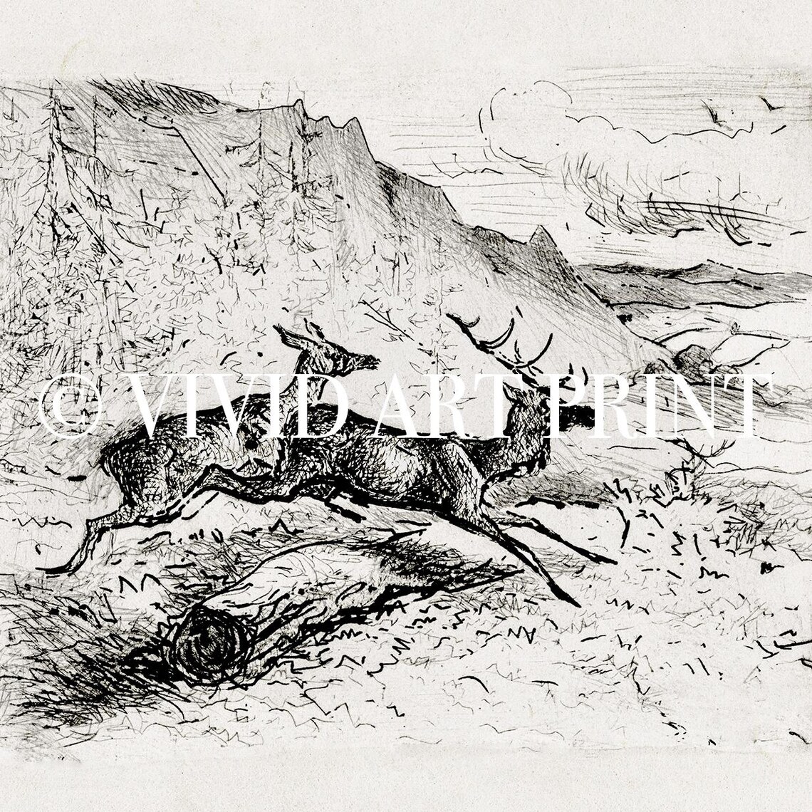 Rustic Vintage Deer Sketch Nursery Wildlife Art Print - Image 4