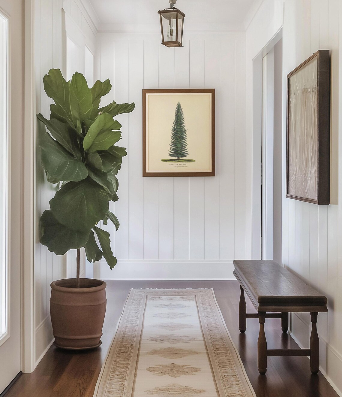 Evergreen Tree Botanical Vintage Douglas Fir Art Print - Image 2