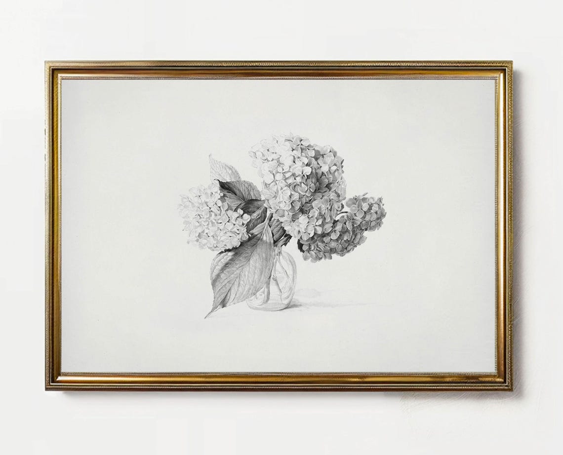 Antique Hydrangea Sketch, Vintage Kitchen Art Print - Image 2