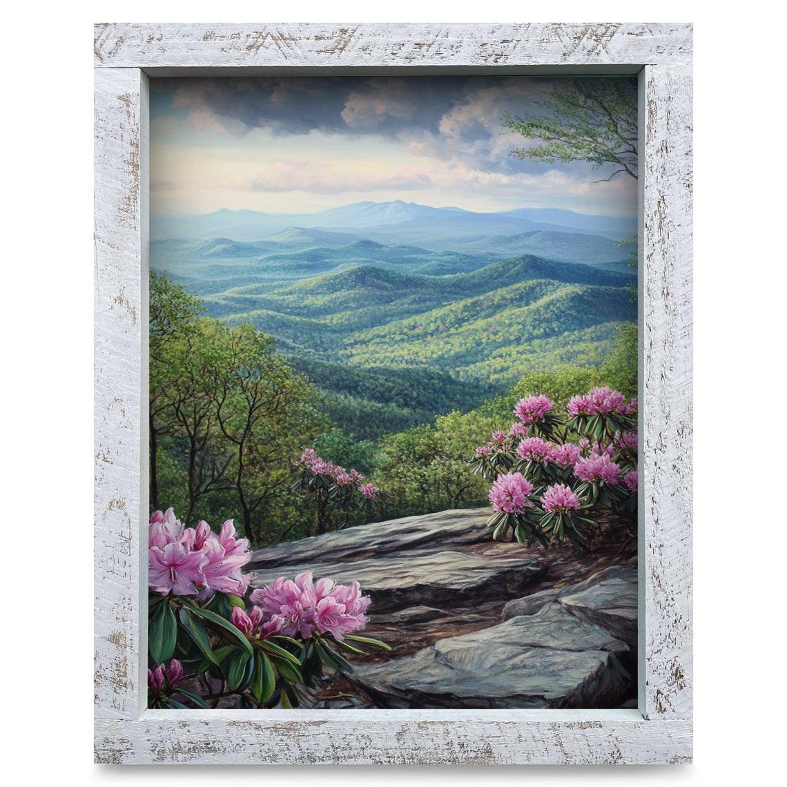 Blue Ridge Mountain Hydrangea Blooms Vista Landscape Wall Art