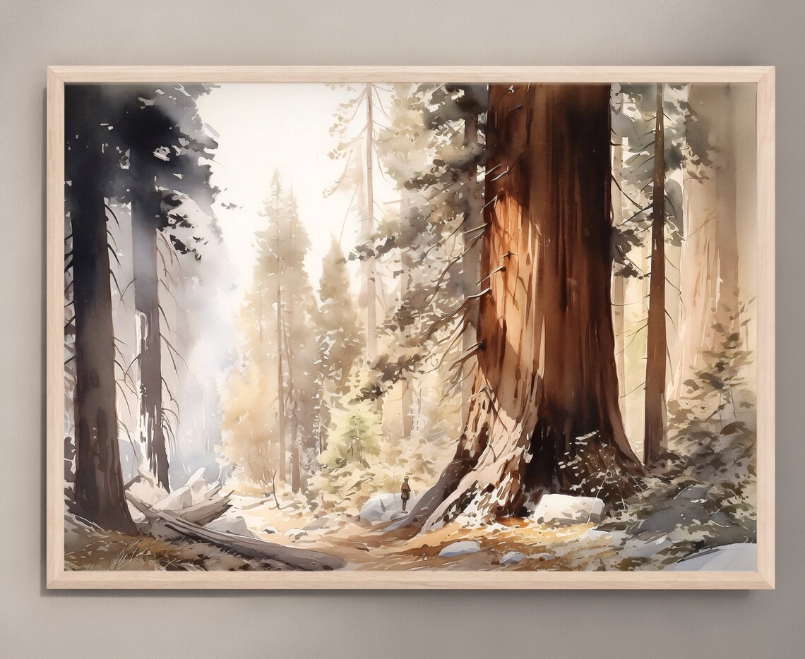 Sequoia Watercolor National Park Art Print - Image 3