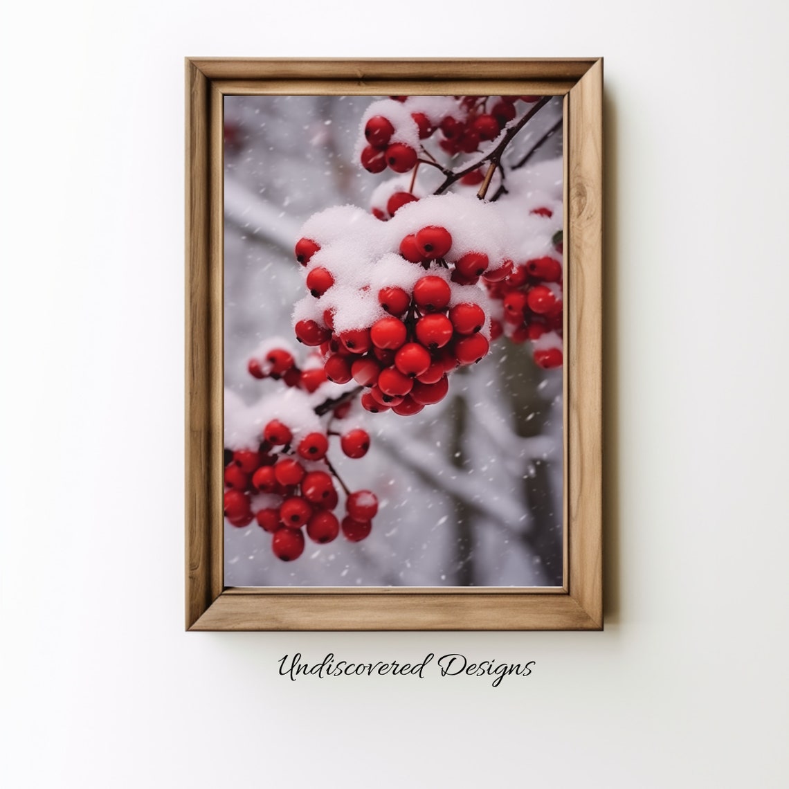 Snow Covered Holly Berries Winter Botanical Photography Poster