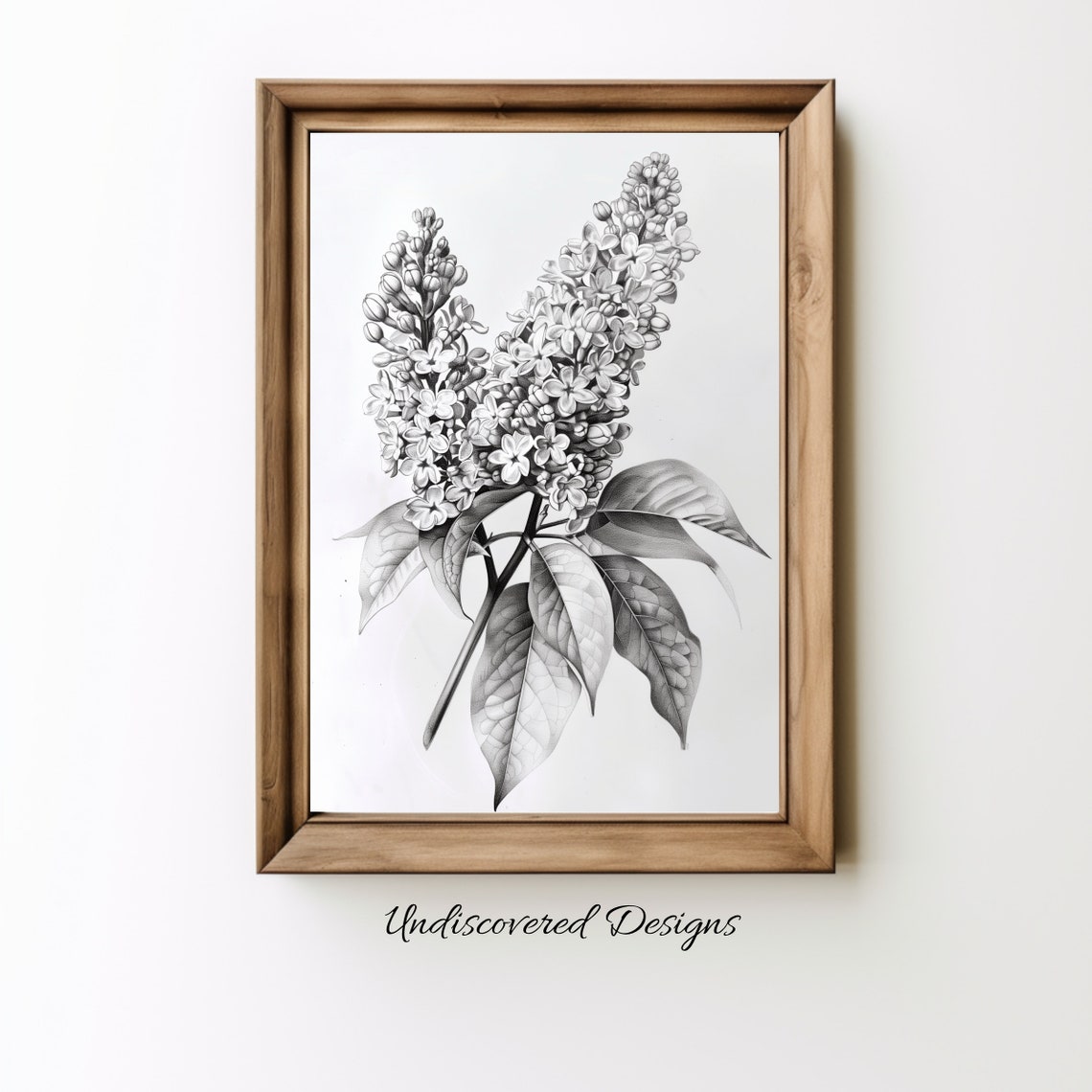 Lilac Botanical Sketch Art Printout Wall Prints Print Vintage Pencil Drawing