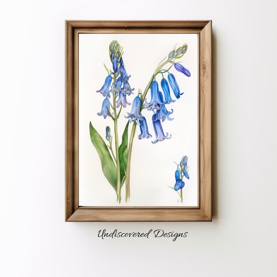 Bluebell Flower Print Vintage Botanical Wall Art