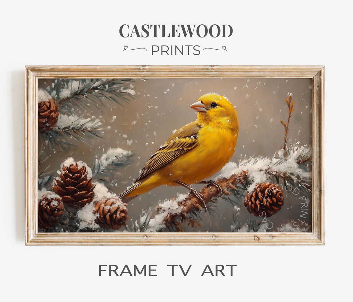 Golden Finch In Snowy Pine Winter Bird Painting Frame TV Art Poster