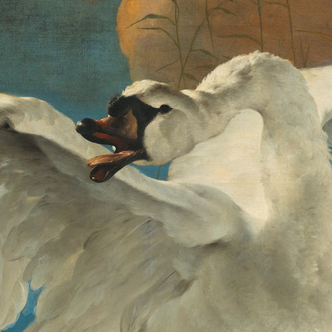 Jan Asselijn The Threatened Swan Defending Nest Baroque Poster - Image 3