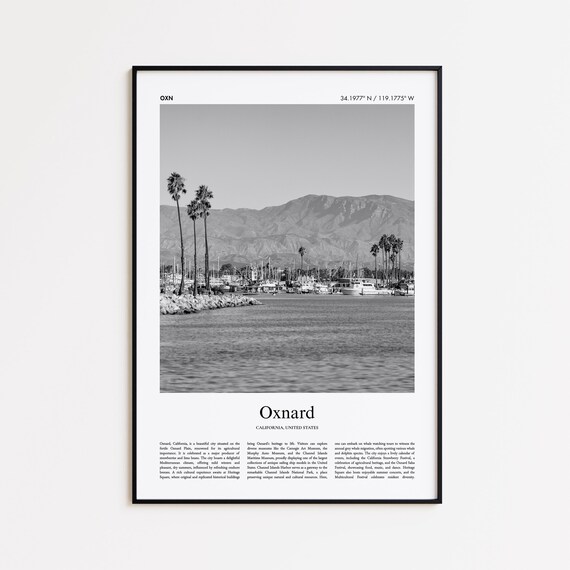 Oxnard California Marina Harbor Black And White Palms Photo Poster