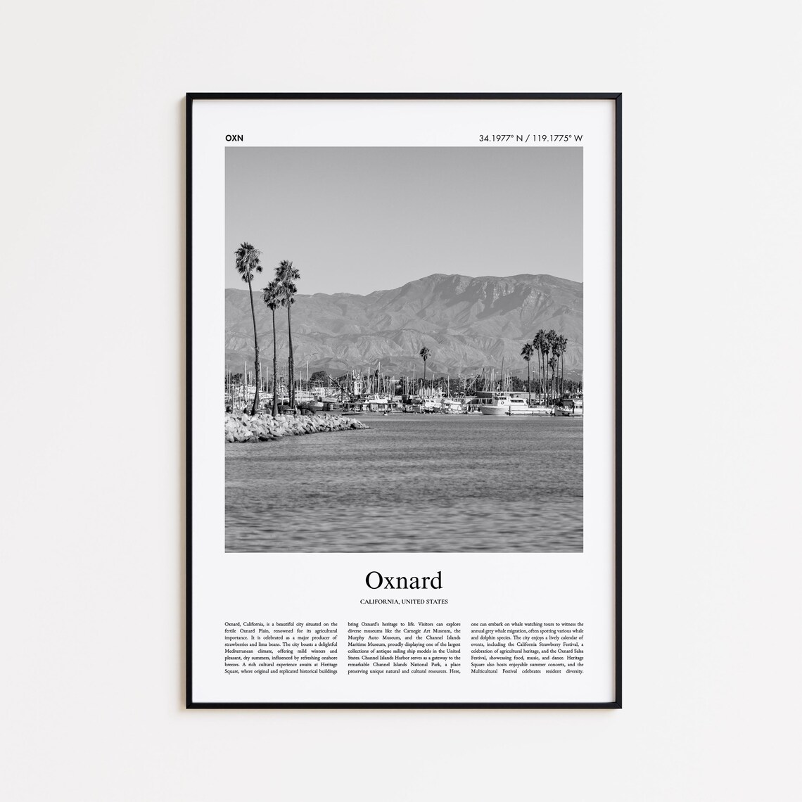 Oxnard California Marina Harbor Black And White Palms Photo Poster