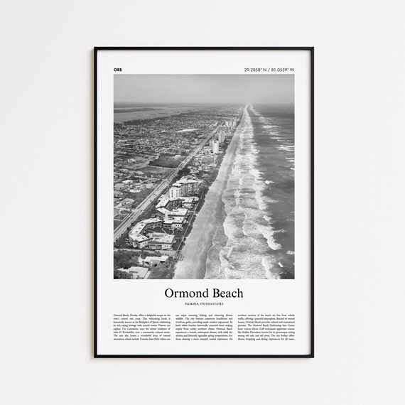 Ormond Beach Florida Black And White Aerial Coastline Photo Poster