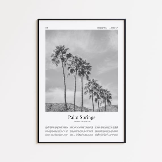 Palm Springs California Tall Palm Trees Black White Photo Poster