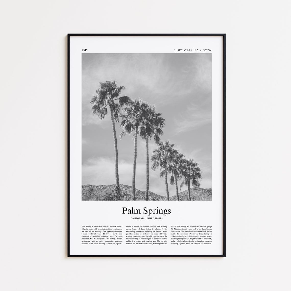 Palm Springs California Tall Palm Trees Black White Photo Poster