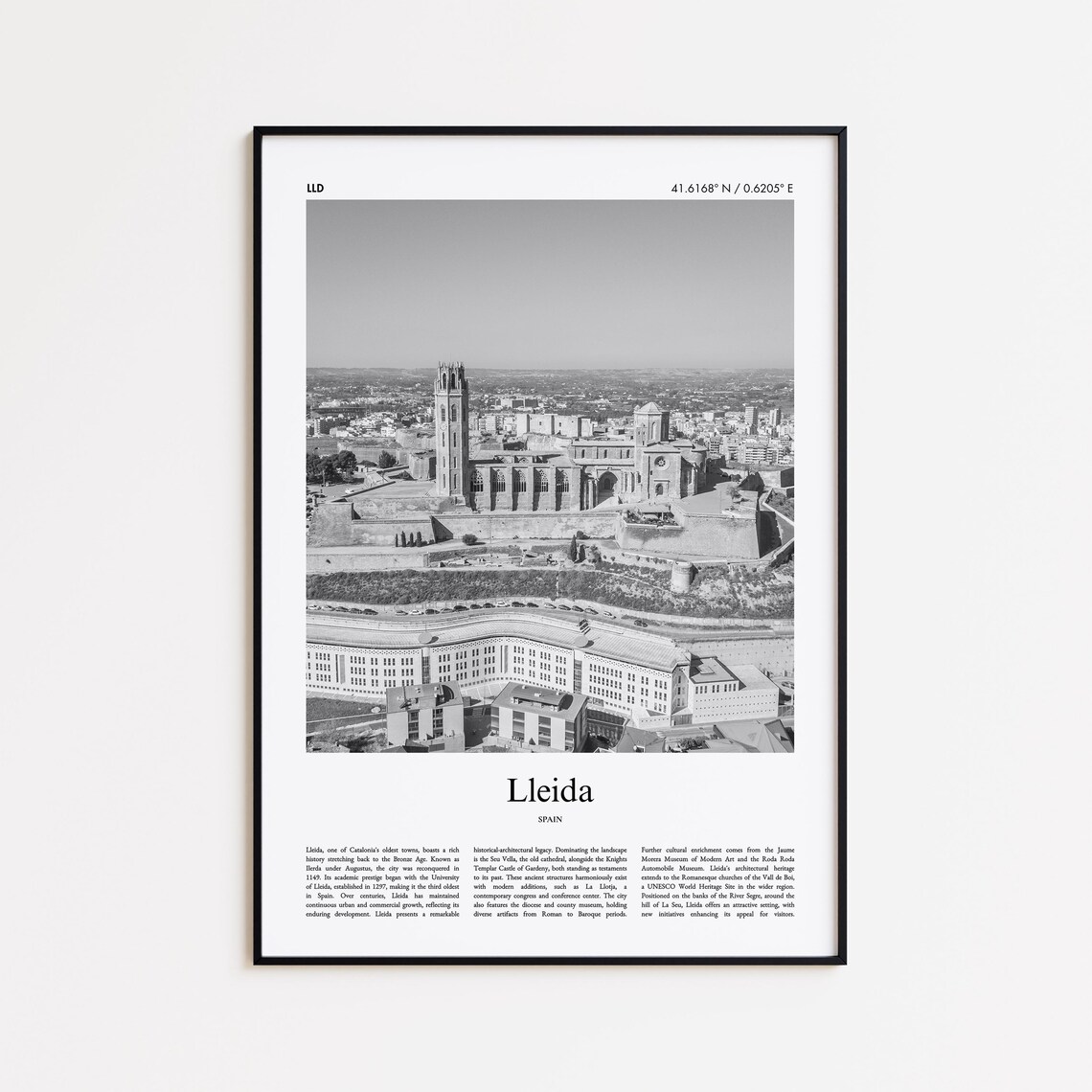 Lleida Spain Seu Vella Cathedral Black And White Aerial Photo Poster
