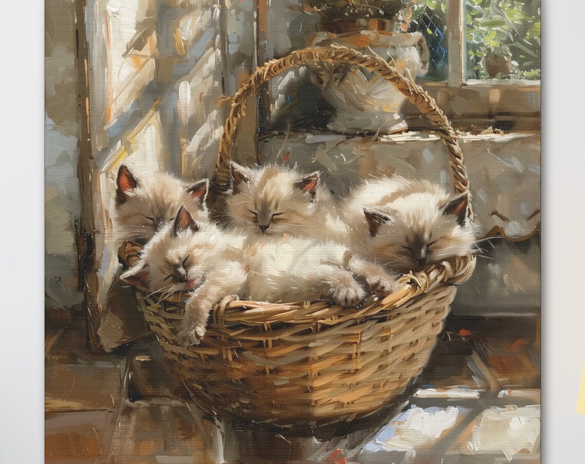 Four Sleeping Siamese Kittens in Wicker Basket Sunlit Window Poster