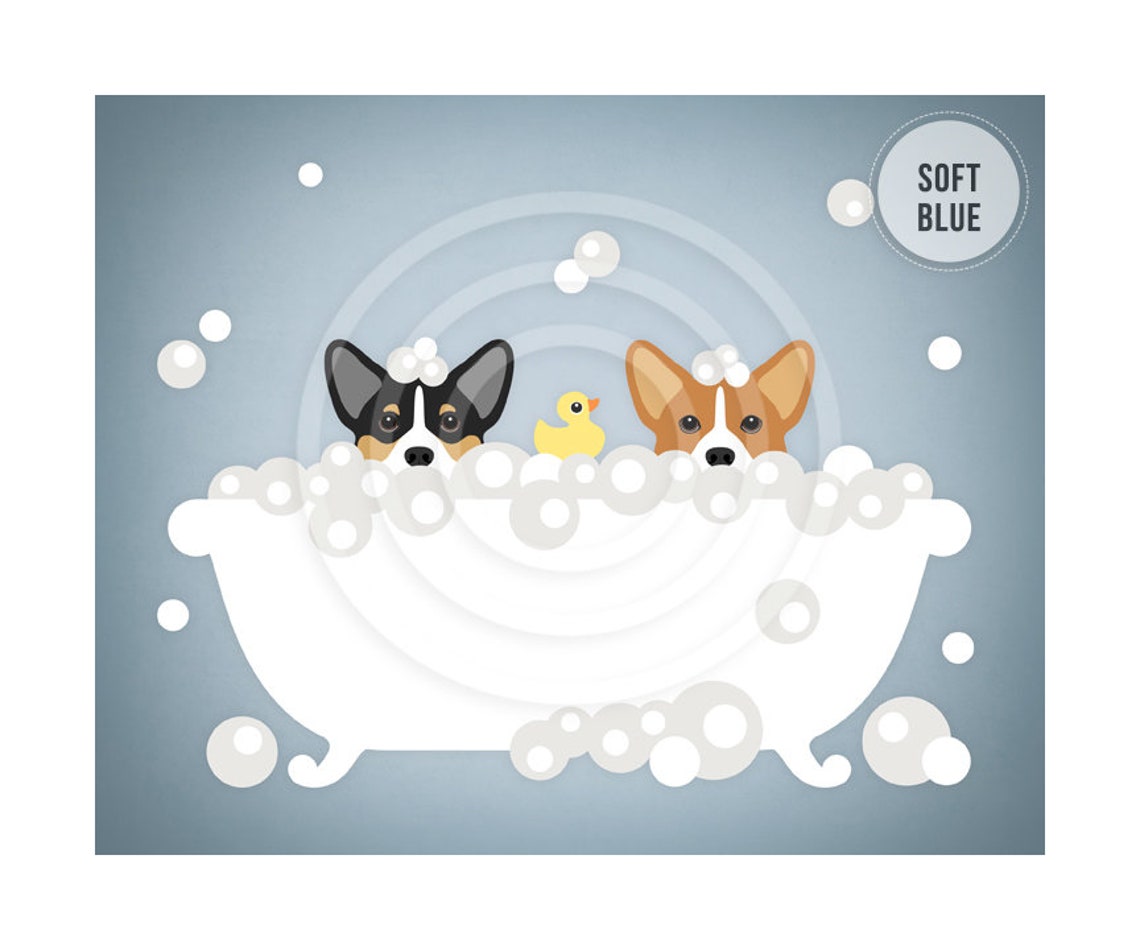 Two Corgi Dogs Peeking Bubble Bath Rubber Ducky Teal Bathroom Poster - Image 2