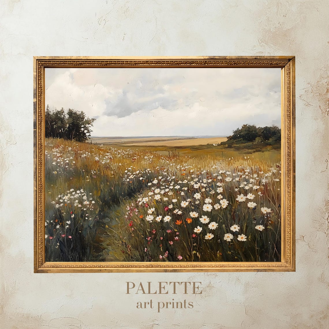 Summer Daisy Field Stretching Toward Golden Distant Hills Poster