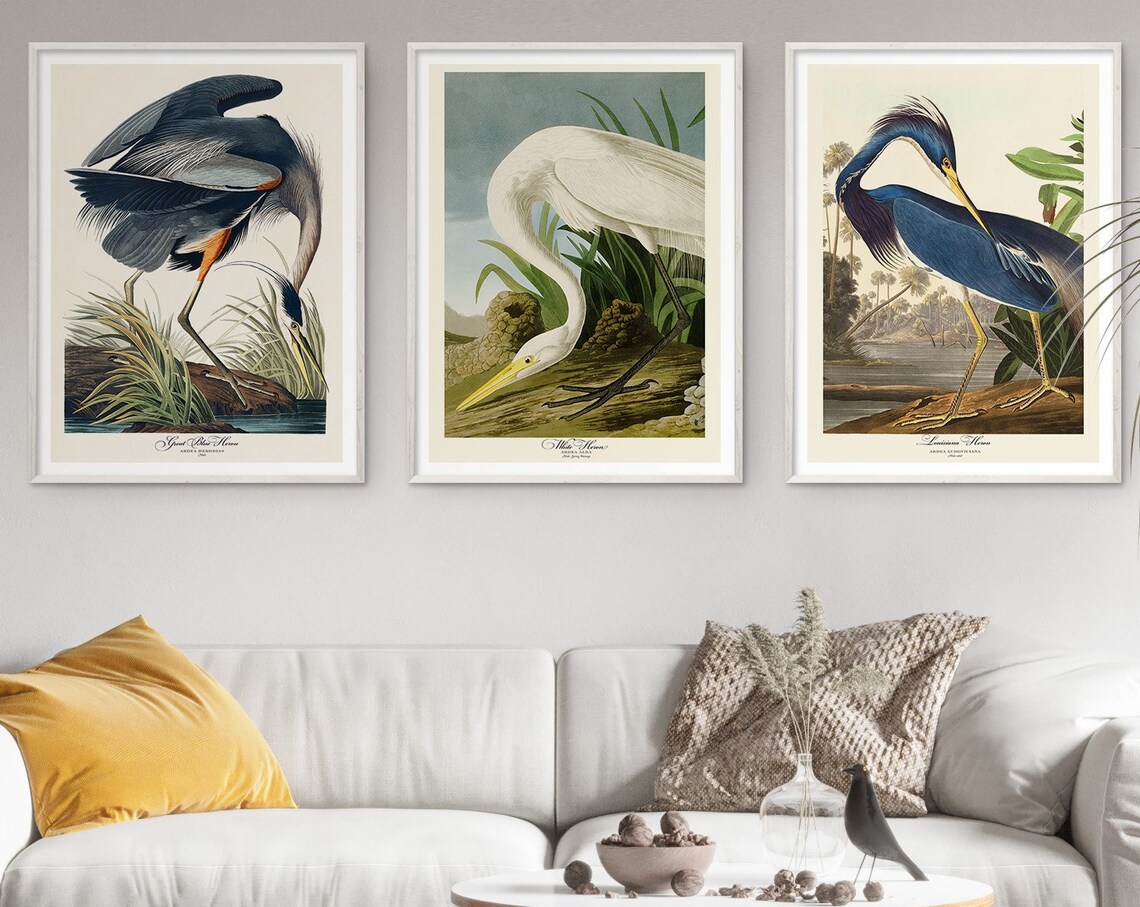 Audubon White Heron Vintage Retro Art Print Set