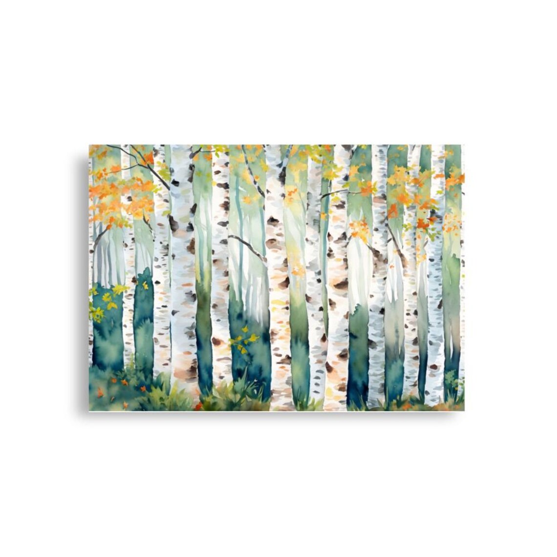 Birch Trees Aspen Watercolor Art Print, Colorado Autumn - Image 2